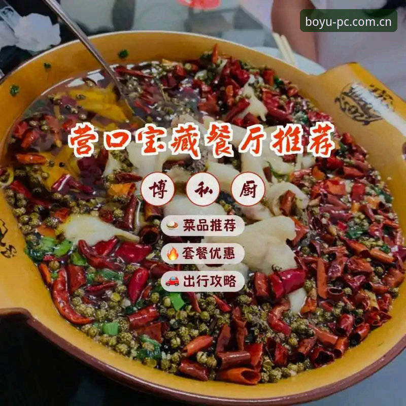 如何找到最适合自己的博鱼app安卓下载渠道？从专业角度分析哪个好